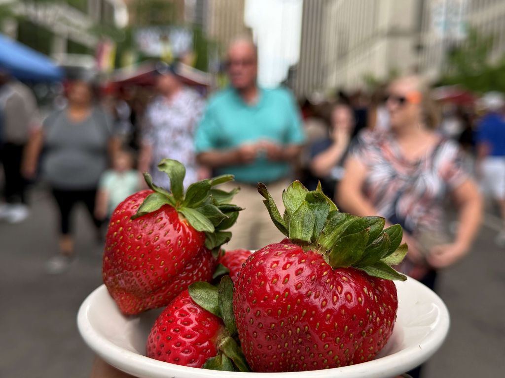 En Ohio: “Festival de las Fresas” se celebra este fin de semana