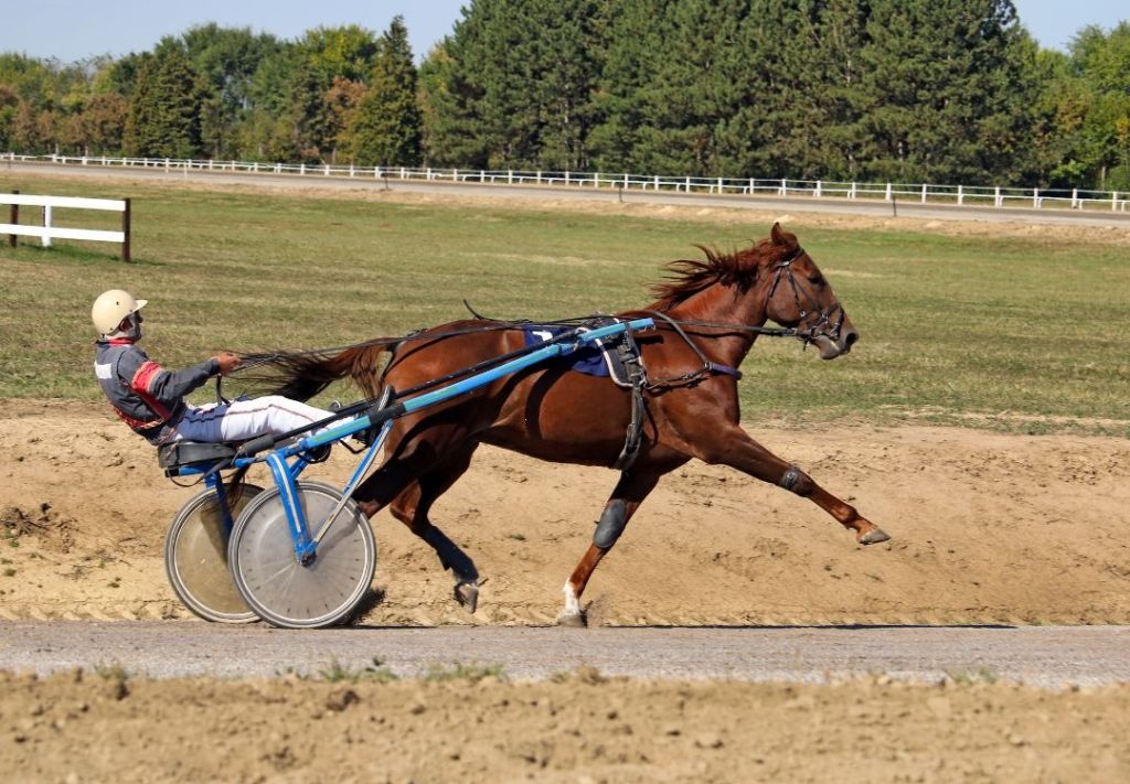 Hasta el 12 de julio: Feria agropecuaria en el condado de Clinton  