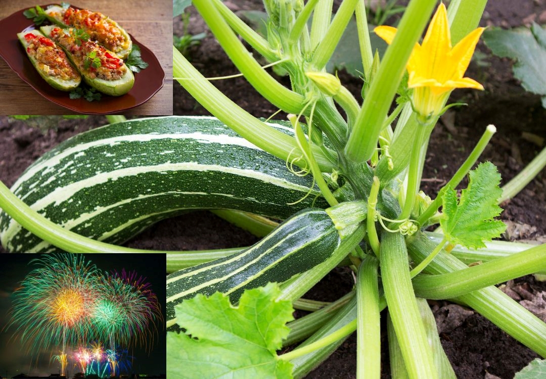 Vegetales inspiran festivales, ¿dónde disfrutar del próximo?