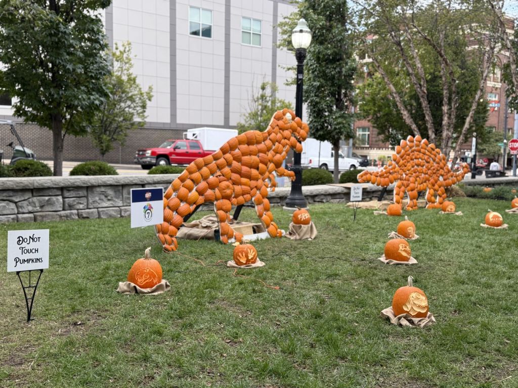 Centro histórico de Hamilton se transforma en galería de calabazas