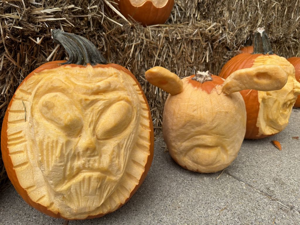 Centro histórico de Hamilton se transforma en galería de calabazas