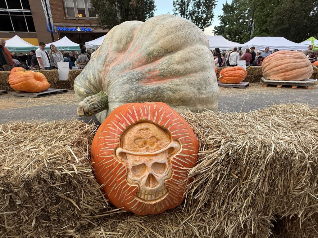 Centro histórico de Hamilton se transforma en galería de calabazas