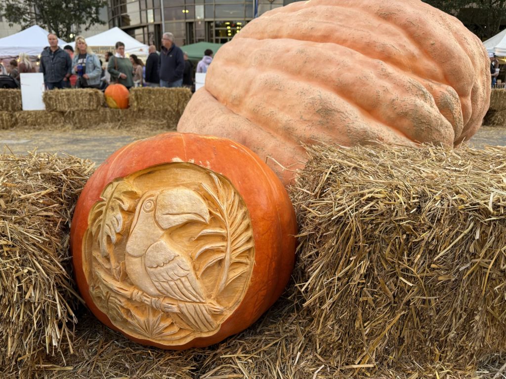 Centro histórico de Hamilton se transforma en galería de calabazas