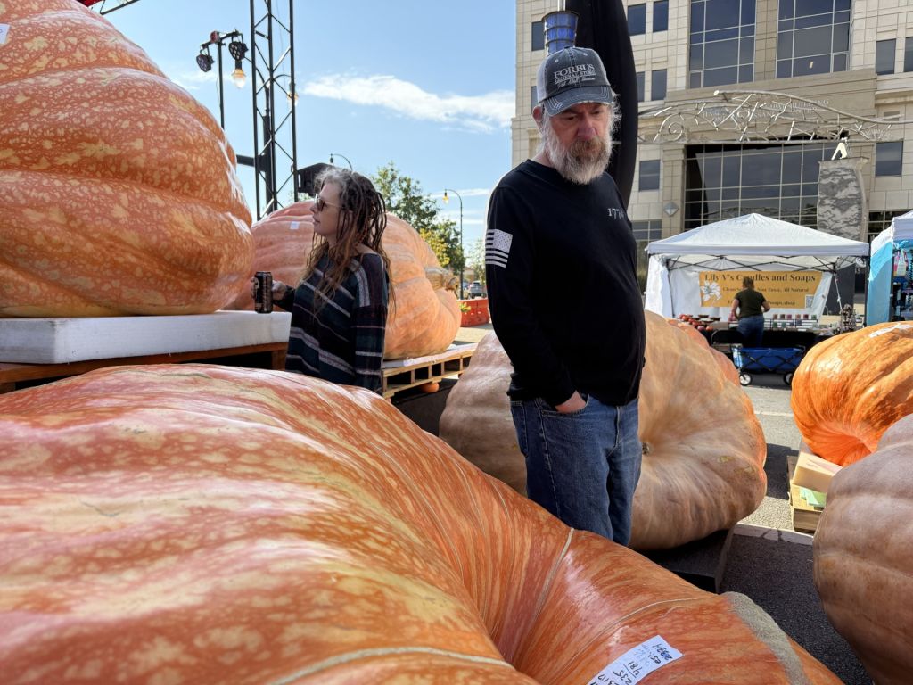 Centro histórico de Hamilton se transforma en galería de calabazas