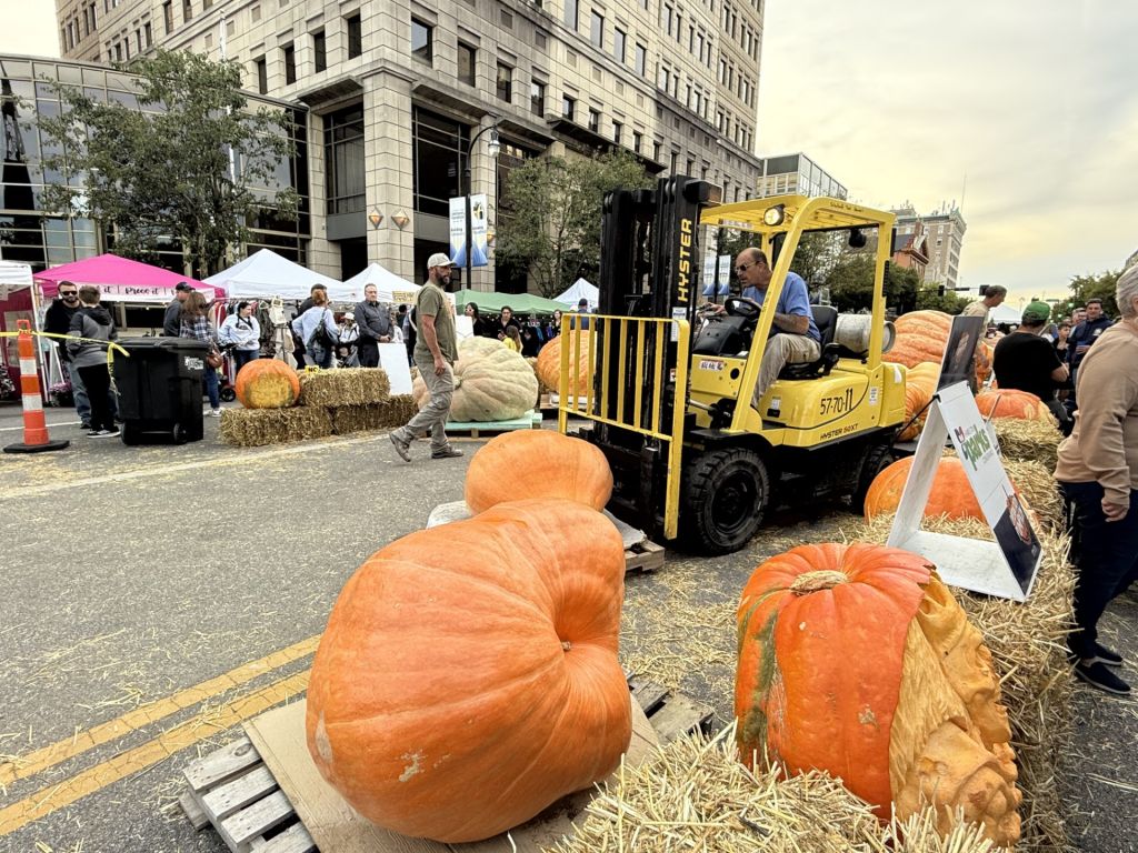 Centro histórico de Hamilton se transforma en galería de calabazas