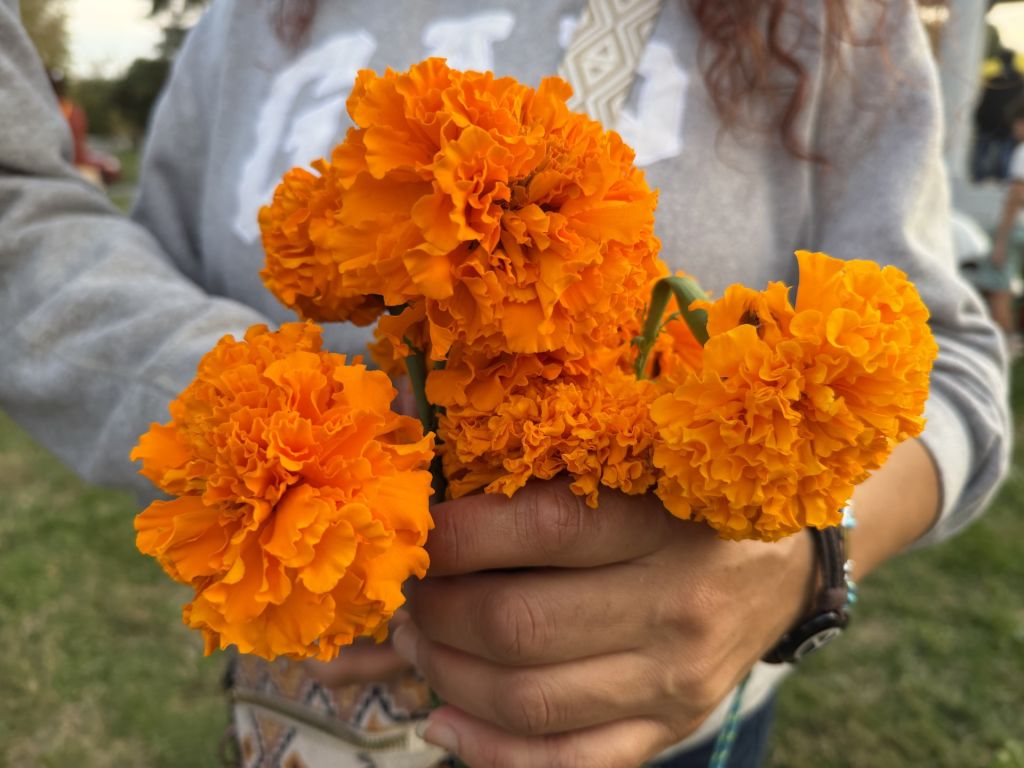 “Arte de muertos” despierta curiosidad en otras culturas