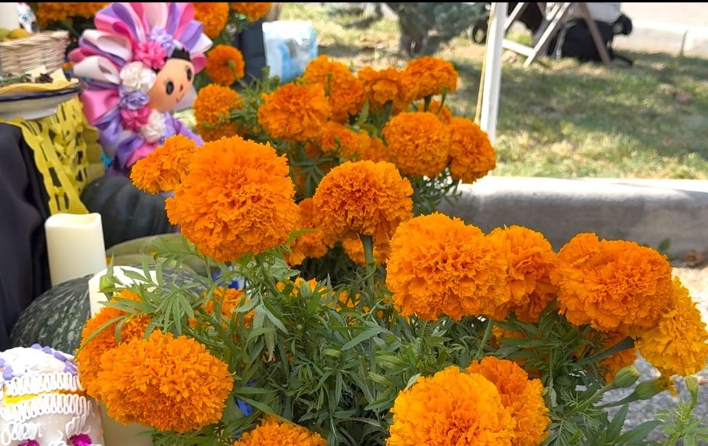 ¿Qué representa la muerte en la cultura mexicana?