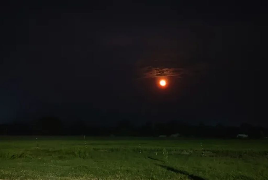Eclipse lunar total, el espectáculo será visible en EE. UU.