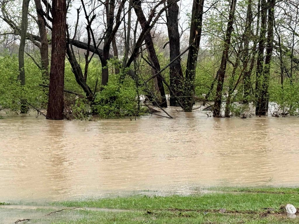 Flooded forest with submerged trees and debris in a muddy, swollen river.