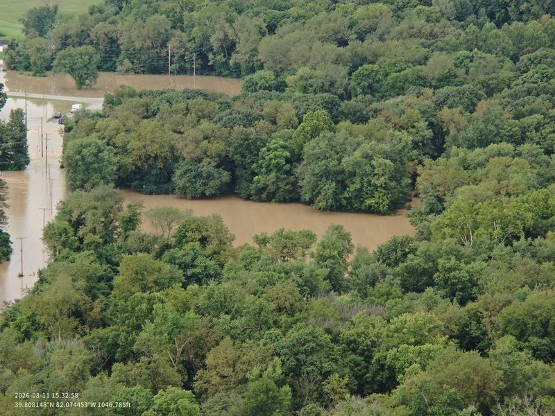 Aerial view of a wooded area with a winding river or stream running through it.