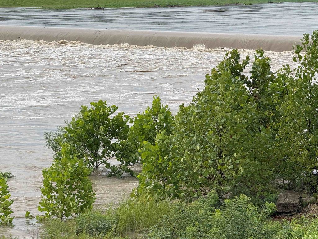 Rushing river surrounded by lush green foliage on the banks.